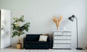 Home and decoration exemple