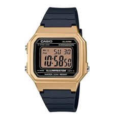 Casio Casual Watch W-217HM-9AVCF
