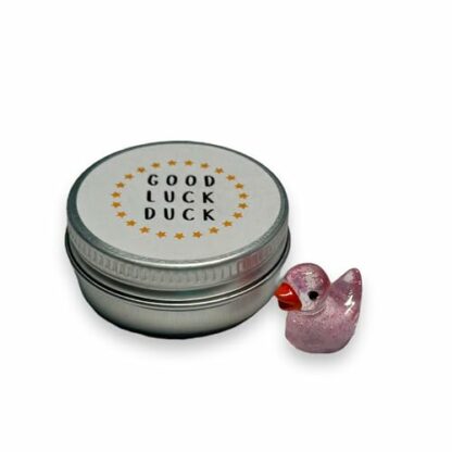 'Good luck duck' gift | Cute minitature plastic duck presented in small tin| perfect good luck gift | random colour duck sent - Image 2