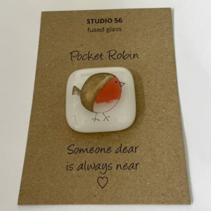 Pocket Robin - Image 3