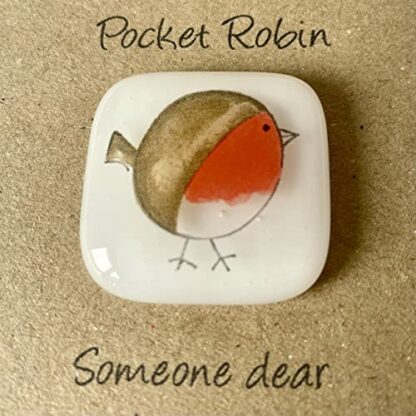 Pocket Robin - Image 4
