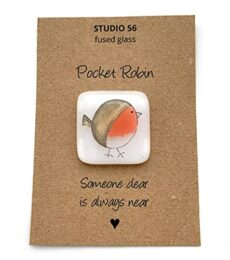 Pocket Robin
