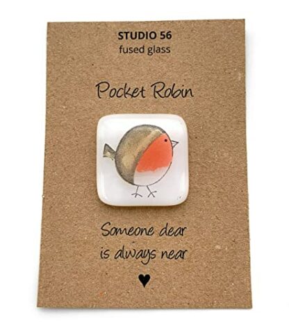 Pocket Robin - Image 2