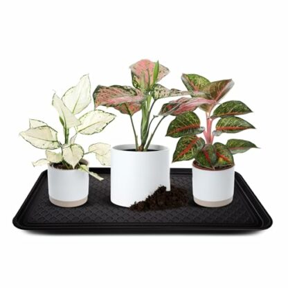 ASAB Pack of 3 Shoe Drip Tray Waterproof Boot Tray Mat Multipurpose Soft Polypropylene Shoe Tray for Rain Winter Boots Mat Non-Slip and Durable Shoe Drip Tray for Garden Indoor Outdoor Shed Garage - Image 4