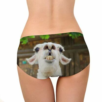 Allcute Flowers Sexy Women Fun Sexy 3D Printed Panty Briefs Underwear Hipster for Bachelor Party Gift 3 Allcute Flowers Sexy Women Fun Sexy 3D Printed Panty Briefs Underwear Hipster for Bachelor Party Gift - Image 3