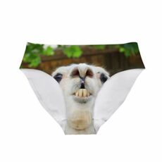 Allcute Flowers Sexy Women Fun Sexy 3D Printed Panty Briefs Underwear Hipster for Bachelor Party Gift