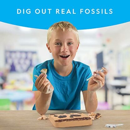 National Geographic Mega Fossil Dig Kit - Excavate 15 Genuine Prehistoric Fossils, Kids Fossil Kit, Educational Toys, Great Science Kit Gift for Girls and Boys (Amazon Exclusive) 3 National Geographic Mega Fossil Dig Kit - Excavate 15 Genuine Prehistoric Fossils, Kids Fossil Kit, Educational Toys, Great Science Kit Gift for Girls and Boys (Amazon Exclusive) - Image 3