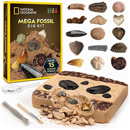 National Geographic Mega Fossil Dig Kit - Excavate 15 Genuine Prehistoric Fossils, Kids Fossil Kit, Educational Toys, Great Science Kit Gift for Girls and Boys (Amazon Exclusive) 2 National Geographic Mega Fossil Dig Kit - Excavate 15 Genuine Prehistoric Fossils, Kids Fossil Kit, Educational Toys, Great Science Kit Gift for Girls and Boys (Amazon Exclusive) - Image 2