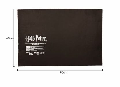 SD Toys HARRY POTTER - 9 3/4 - Paillasson '60x40x2cm' - Image 3