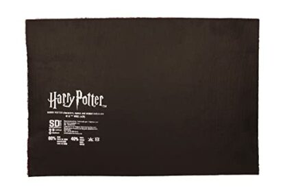 SD Toys HARRY POTTER - 9 3/4 - Paillasson '60x40x2cm' - Image 4