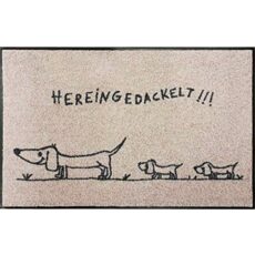 Salonloewe Washable Doormat 50 x 75 cm with "Hereingedackelt" Wording Beige/Charcoal with Dachshund Motif Doormat Shoe Cleaner Doormat Door Mat