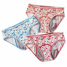 Tanseefly 3 Pack Teens Protective Underwear Leakproof Panties Women Postpartum Briefs, Bt, X-Small