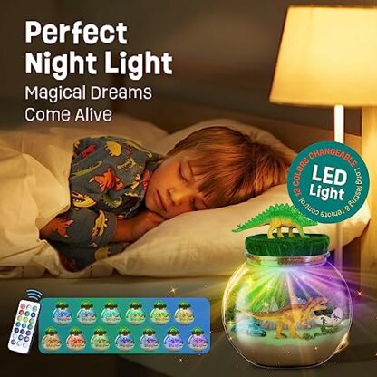 Terrarium Kit for Kids - Image 3