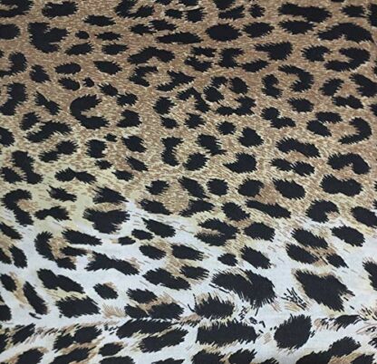 Tex family a_una_square - Image 3