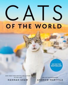 Cats of the World: TK