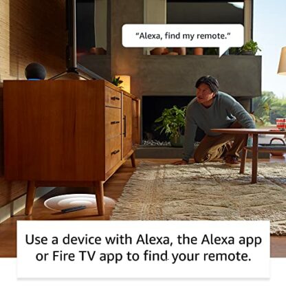Alexa Voice Remote Pro - Image 3