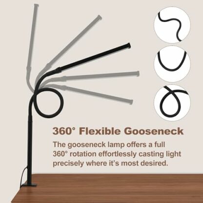 LIBORA Desk Lamp - Image 4