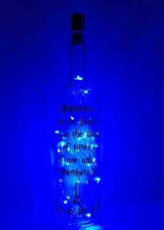 Mooseys Potter Inspired Light Up Wine Bottle Lamp Birthday Valentines Gift