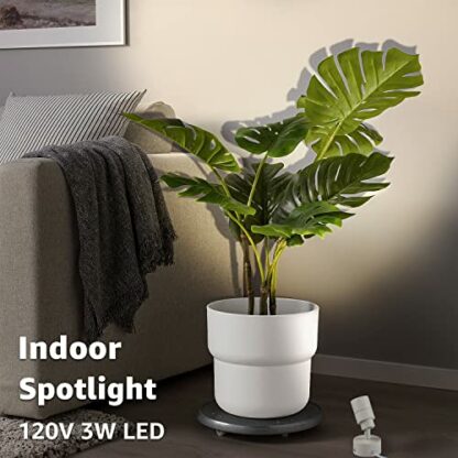 SUNVIE 2 Pack LED Up Lights for Indoor Use Uplight, Warm White Floor Spotlight Lamp, 120V Spot Lights for Uplighting Accent Lighting, 5.9 FT Cord with Foot Switch 3 SUNVIE 2 Pack LED Up Lights for Indoor Use Uplight, Warm White Floor Spotlight Lamp, 120V Spot Lights for Uplighting Accent Lighting, 5.9 FT Cord with Foot Switch - Image 3