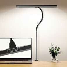 bravzurg LED Desk Lamp for Office, 12W Desk Light for Study