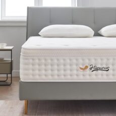 Hiepunos 10 Inch Hybrid Double Mattress