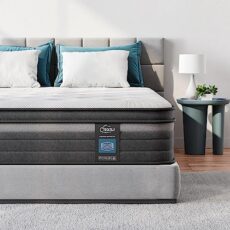 TeQsli 10.6 Inch Hybrid Double Mattress